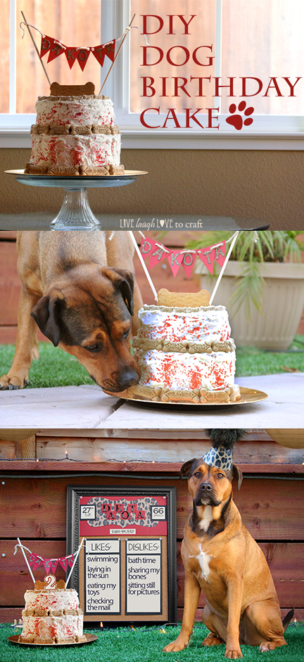 dog-cake-craft-for-dog-birthday